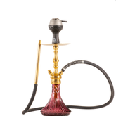 COCOYAYA Simba Hookah with Bag - Gold Stem & Purple Base