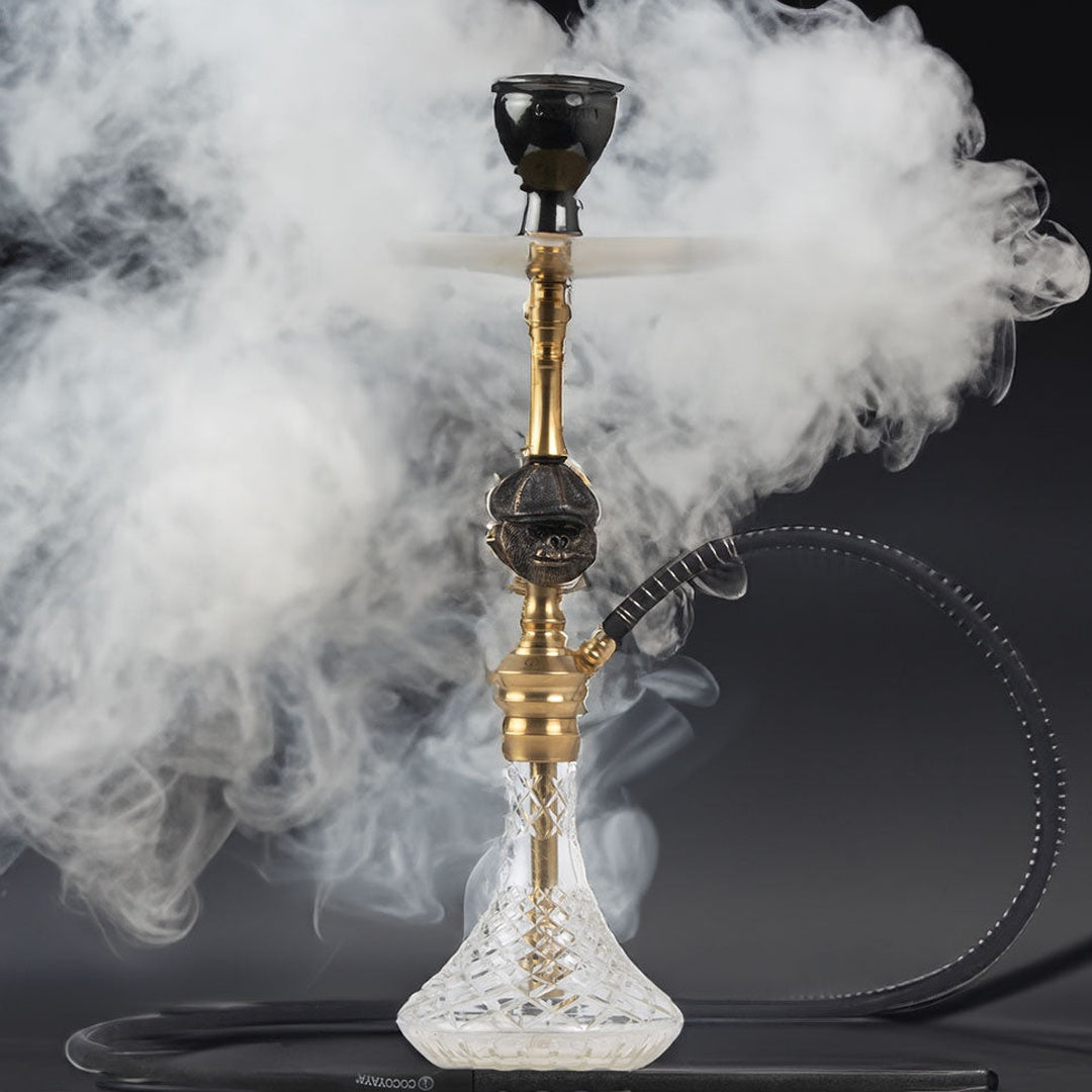 COCOYAYA Cigar Hookah (Bohemian Series) - Golden & Transparent