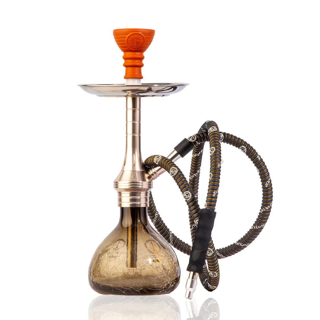 COCOYAYA Bobby Hookah - Silver (Transparent Crackle)