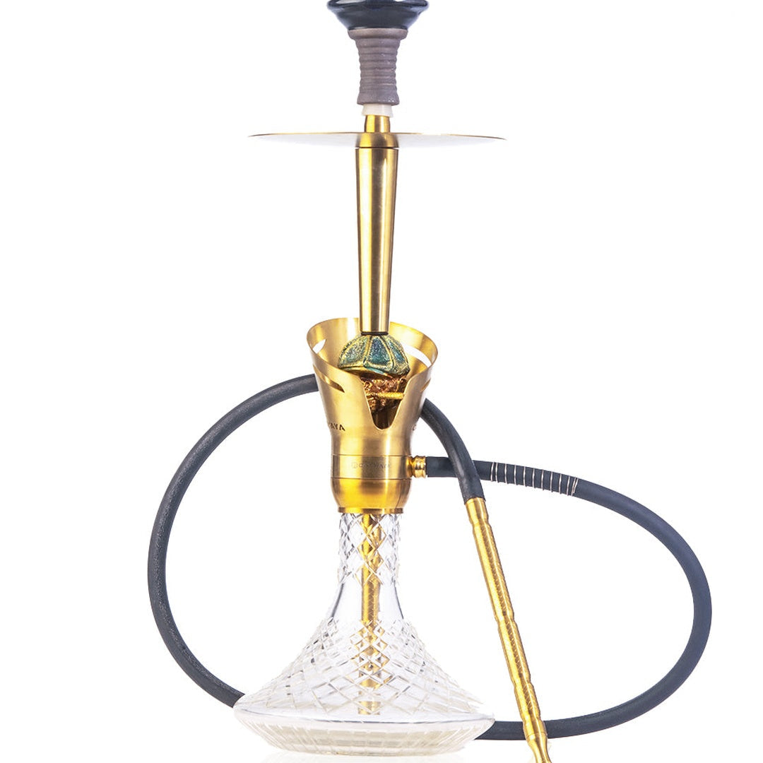 COCOYAYA Baku Cigar Hookah - Golden (Transparent Base)