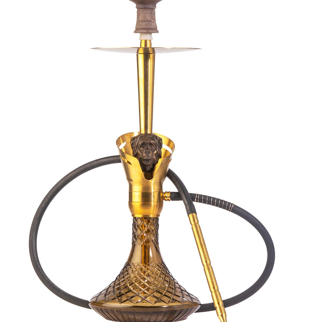 COCOYAYA Baku Gorilla Hookah - Golden (Grey Base)