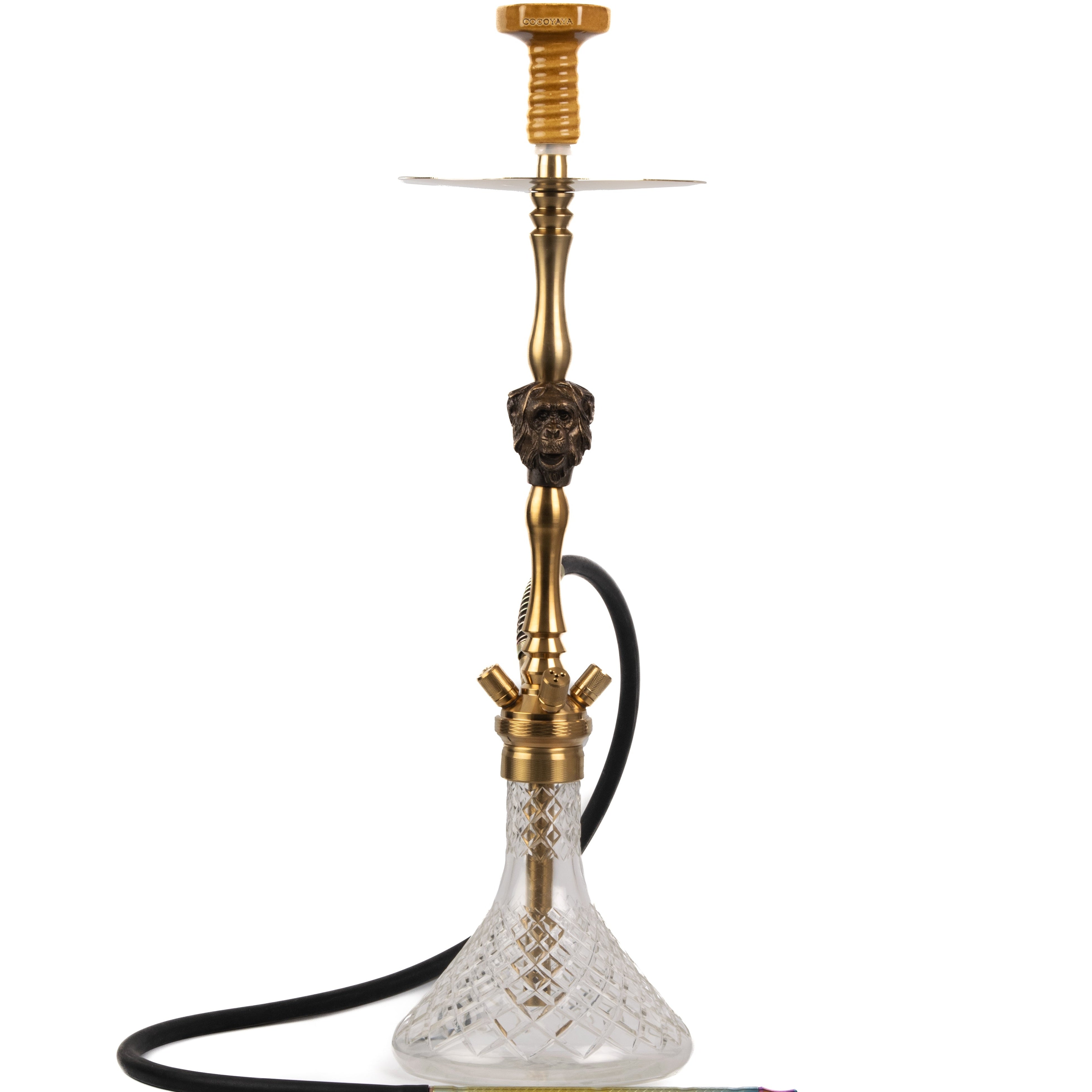 COCOYAYA Jungle Series Kong Hookah - Golden (Transparent Base)