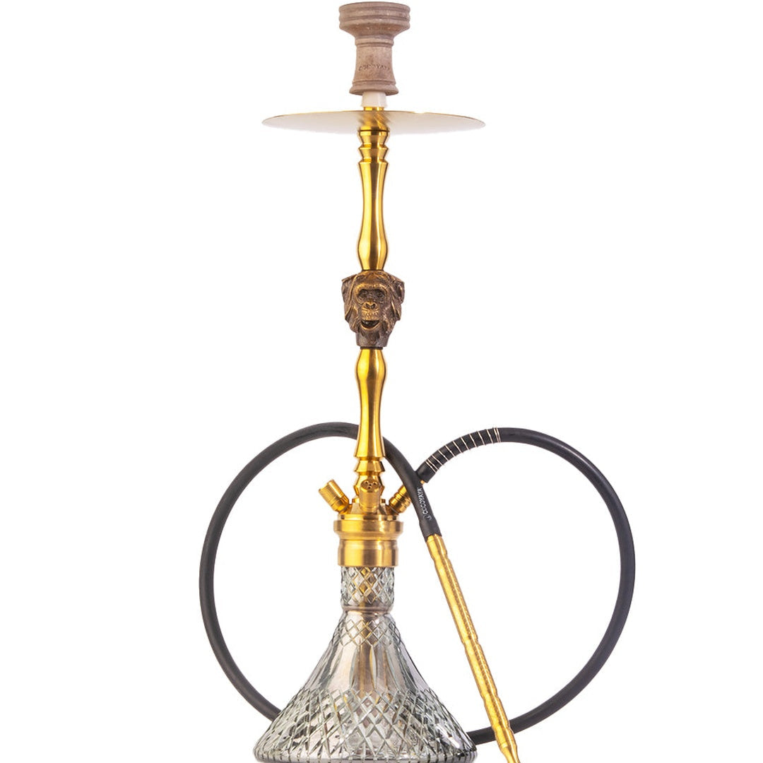 COCOYAYA Jungle Series Mojo Hookah - Golden (Transparent Base)