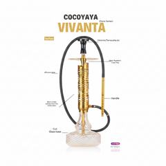 COCOYAYA Vivanta Hookah (Ferro Series) - Gold Stem & Transparent Base