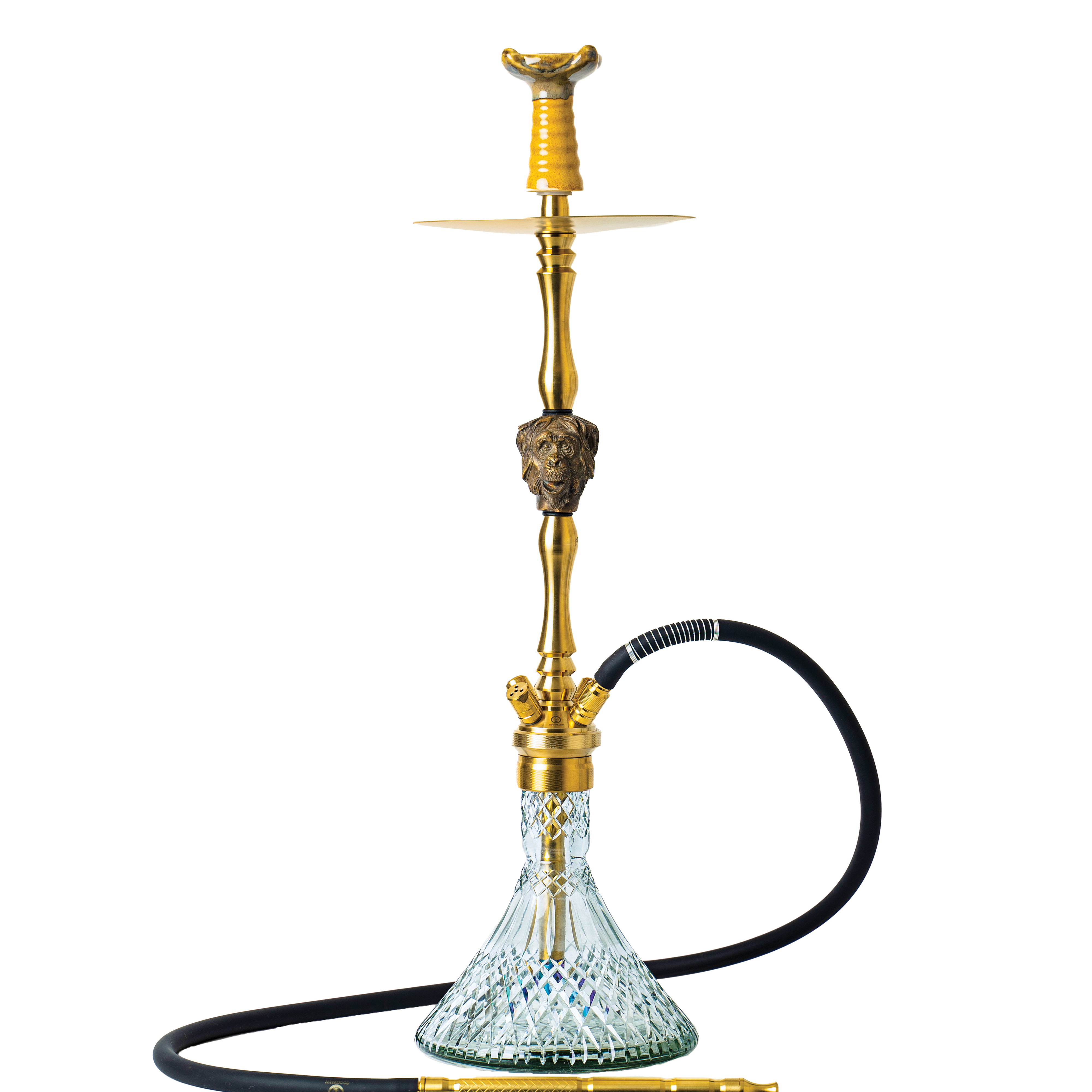 COCOYAYA Jungle Series Wild Jo Hookah - Golden (Transparent Base)