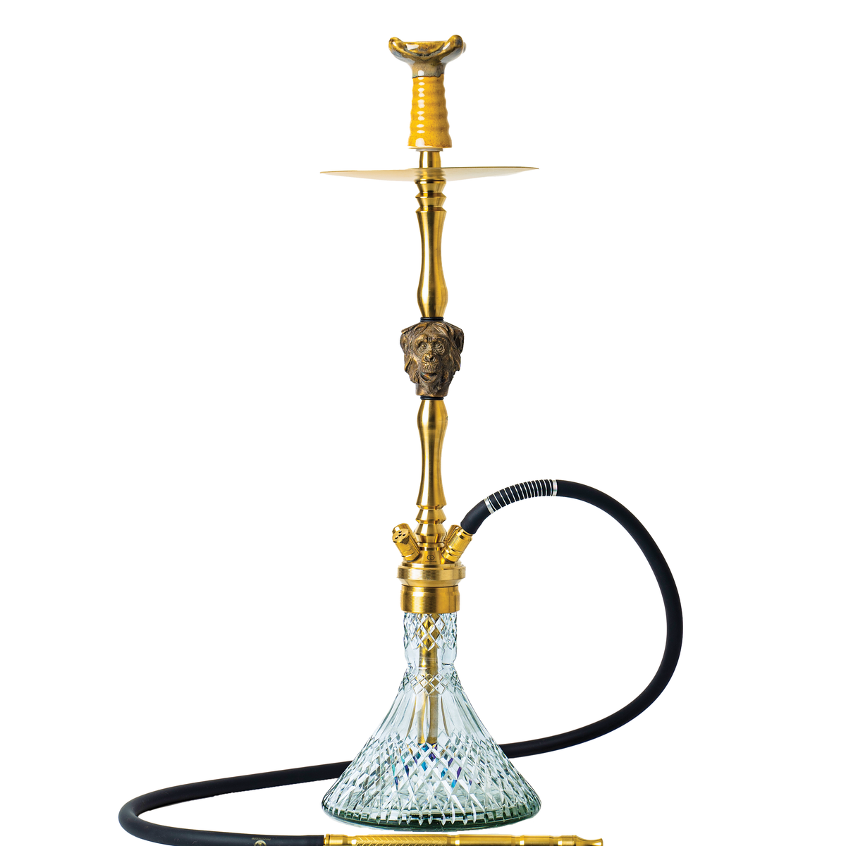 COCOYAYA Jungle Series Wild Jo Hookah - Golden (Transparent Base)