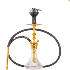 COCOYAYA Simba Hookah with Bag- Gold Stem & Transparent CGB Base